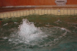 IMG_7959
