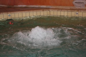 IMG_7960